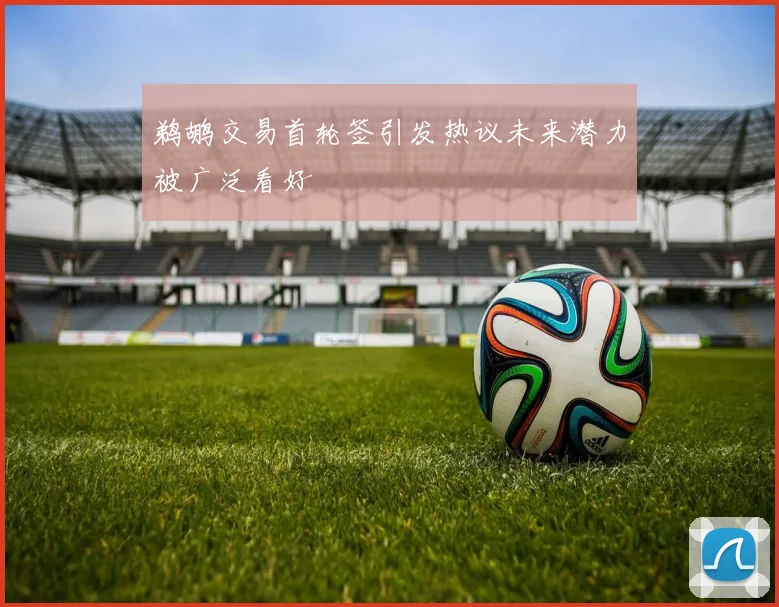 鹈鹕交易首轮签引发热议未来潜力被广泛看好