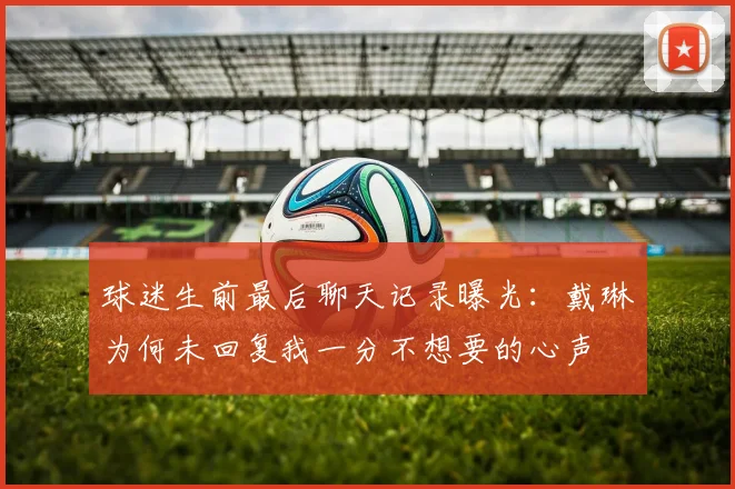 球迷生前最后聊天记录曝光：戴琳为何未回复我一分不想要的心声