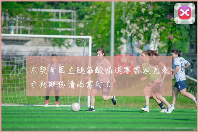 东契奇因左腿筋酸痛退赛雷迪克表示判断伤情尚需时日