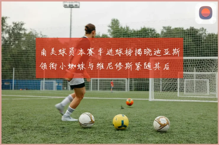 南美球员本赛季进球榜揭晓迪亚斯领衔小蜘蛛与维尼修斯紧随其后