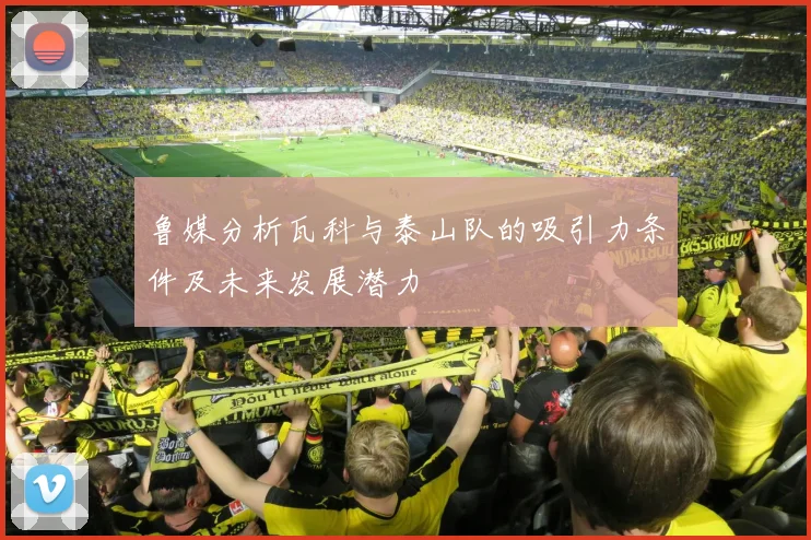 鲁媒分析瓦科与泰山队的吸引力条件及未来发展潜力